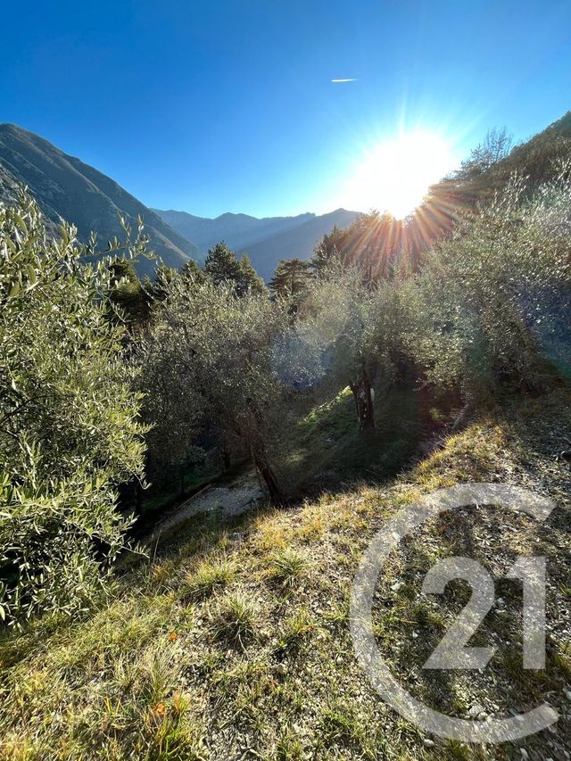 maison à vendre - 2 pièces - 78.0 m2 - BREIL SUR ROYA - 06 - PROVENCE-ALPES-COTE-D-AZUR - Century 21 Domus Immobilier